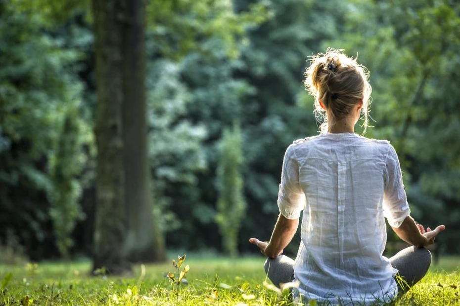 Como Criar um Ambiente de Meditação Vegano no Seu Lar