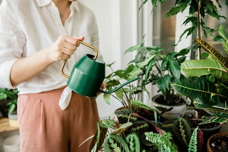 Como Criar um Jardim Vegano Sustentável em Casa