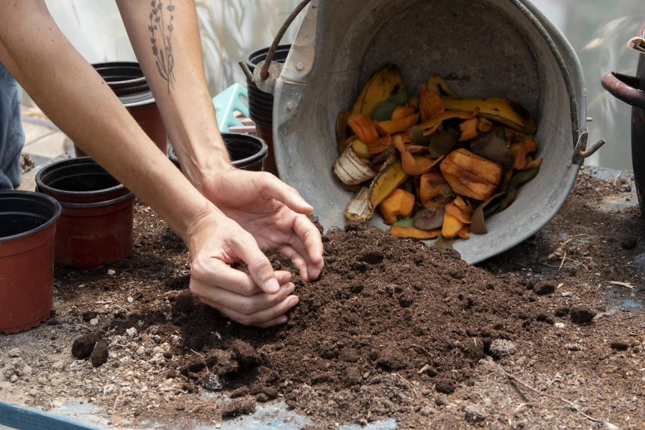 Reutilização de Resíduos: Como Criar Compostagem em Apartamentos